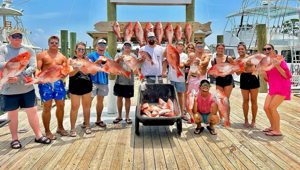 A large charter with a cart full of red snapper at the marina