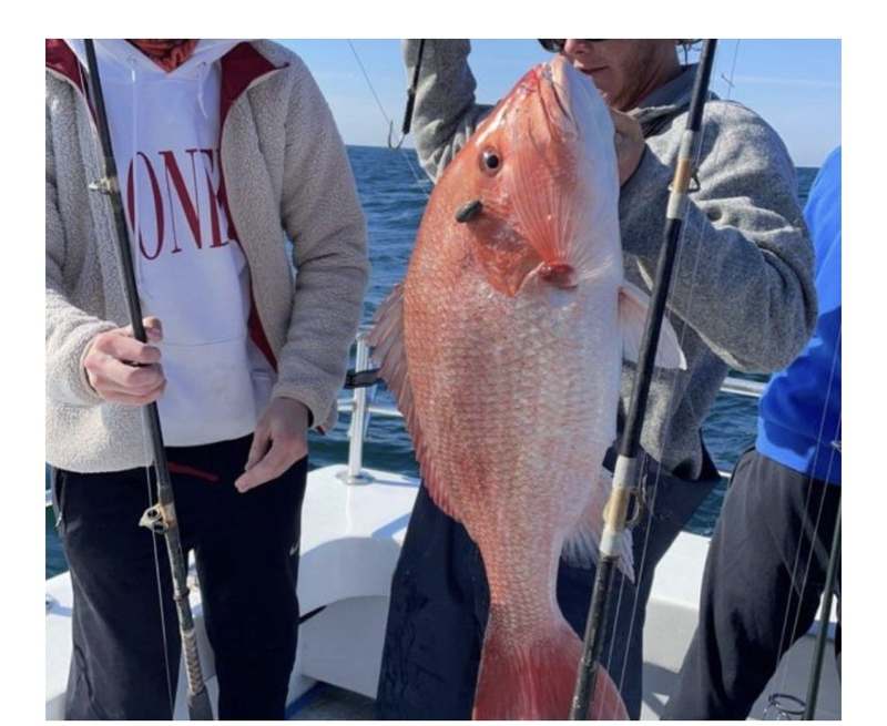 A guest holding a bright red snapper against the Gulf horizon