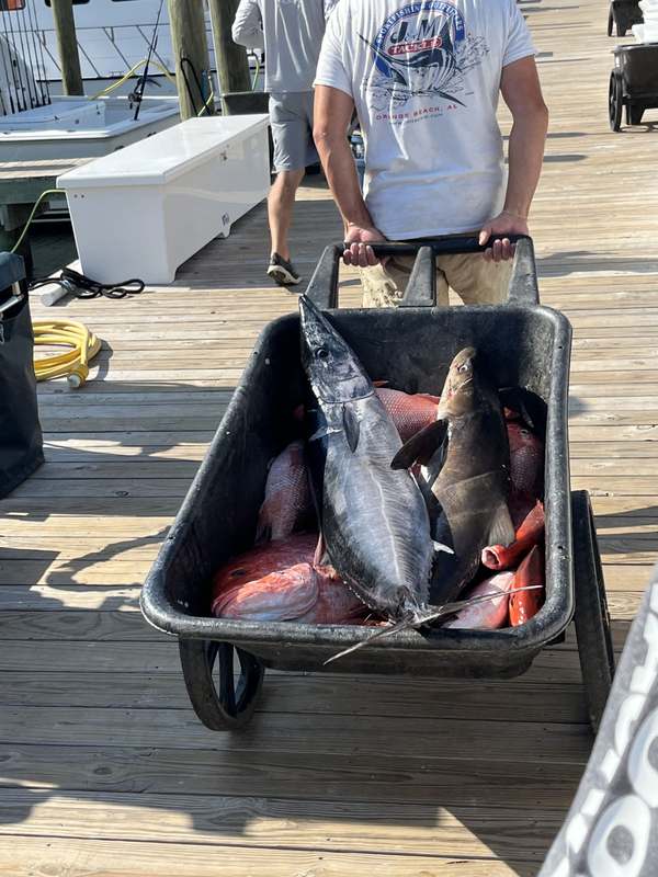 Tuna and snapper in the cart after a full day offshore