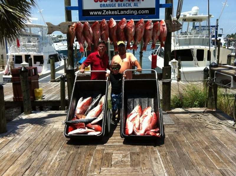 A charter's red snapper laid out at Zeke's Landing at sunset