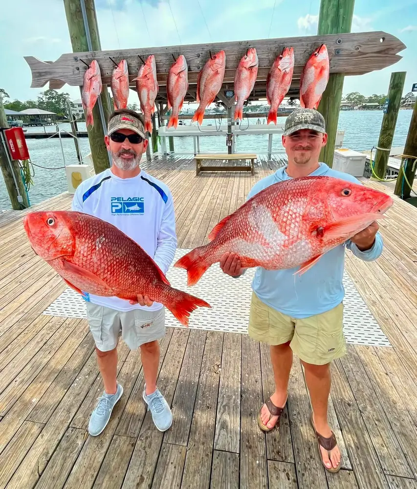 An angler holding two heavy red snapper at Zeke's Landing